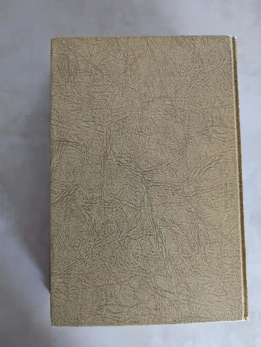 Webster's New World Dictionary of the American Language 1966 Hard Cover